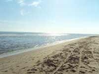 /album/ca-amposta/ca-dsc00588-jpg/